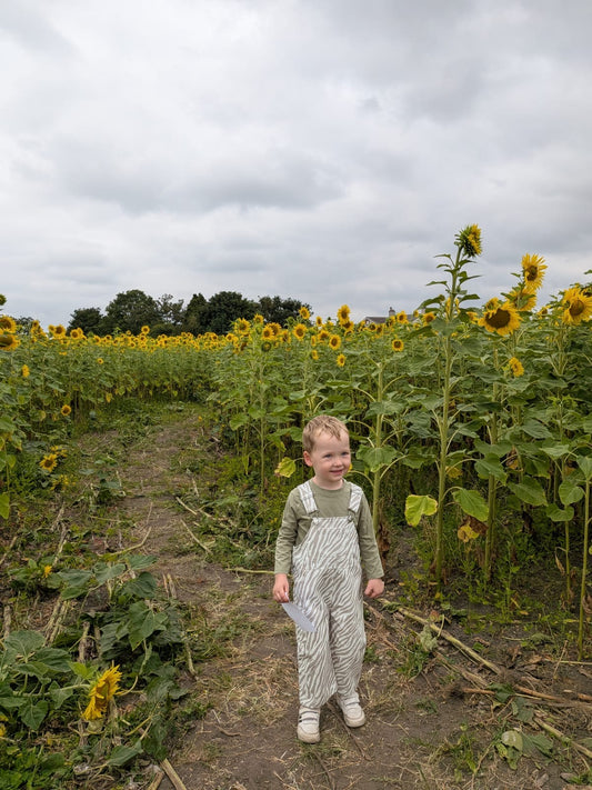 **PREORDER** Born To Roam Dungarees