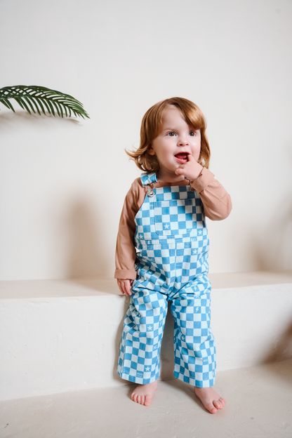 Willow Blue Check Dungarees