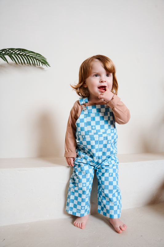 Willow Blue Check Dungarees