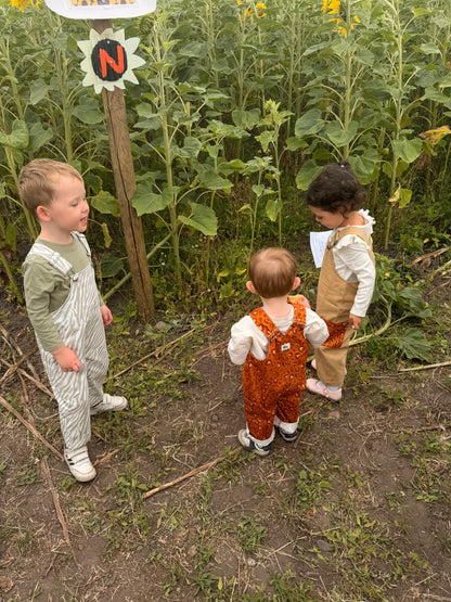 **PREORDER** Born To Roam Dungarees