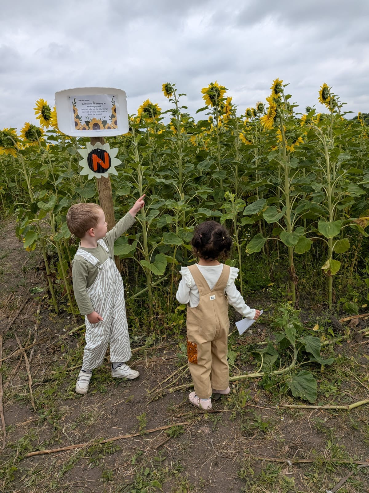 **PREORDER** Born To Roam Dungarees