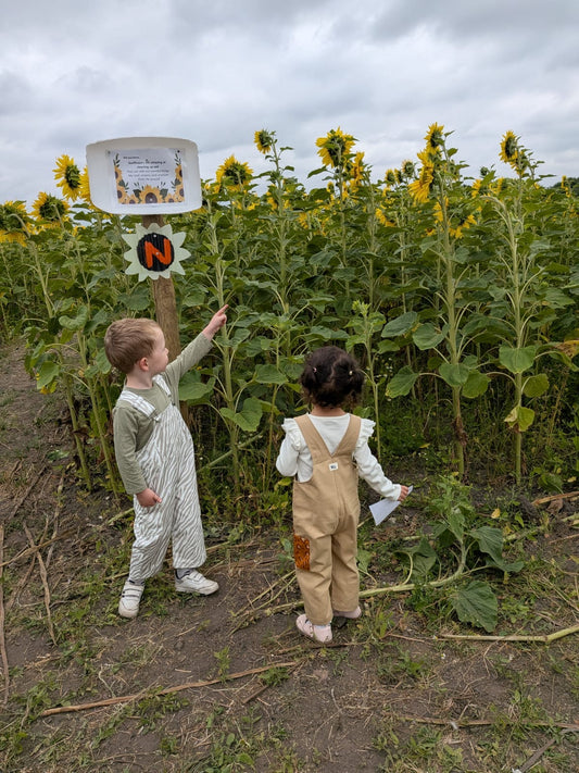 **PREORDER** Born To Roam Dungarees