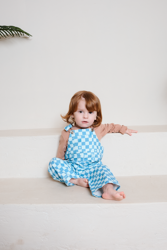 Willow Blue Check Dungarees